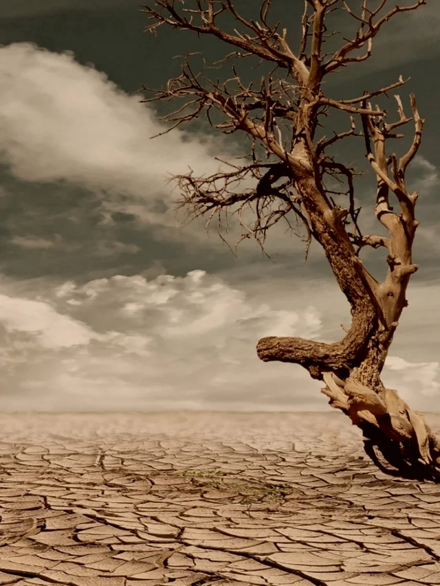 5 ways to avoid the harmful effects of Climate change