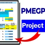 PMEGP Loan Project Report
