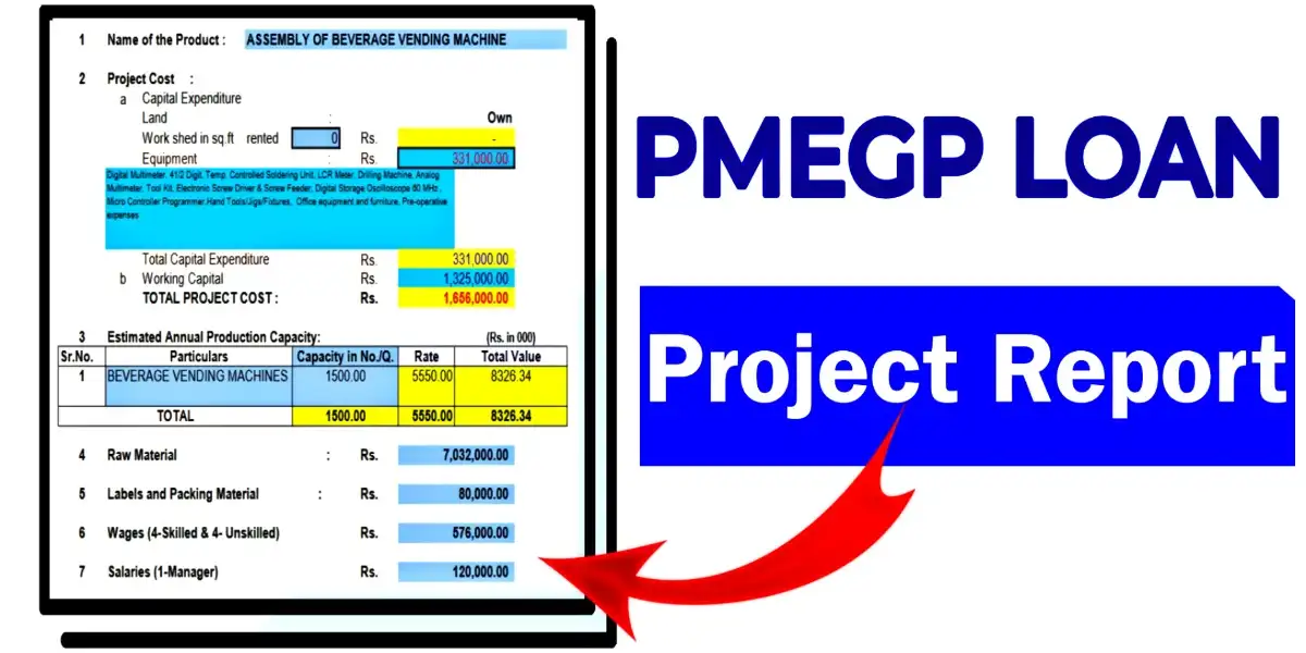 PMEGP Loan Project Report